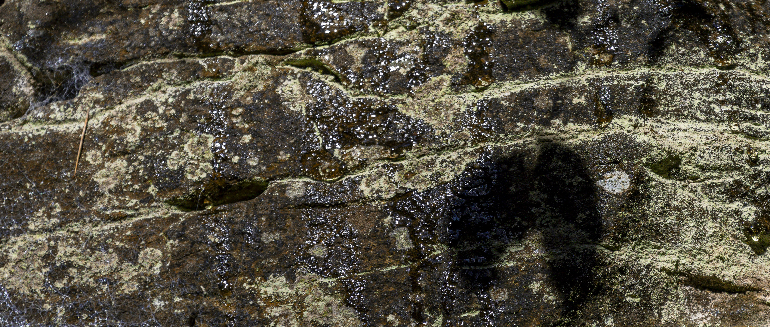 20251129121911 RD4 0789